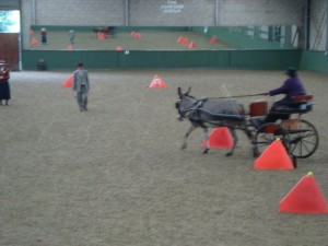 Indoor Driving - Cones Course