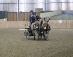 Rikita & Sarah competing at Sparsholt EC - IDHT Event 